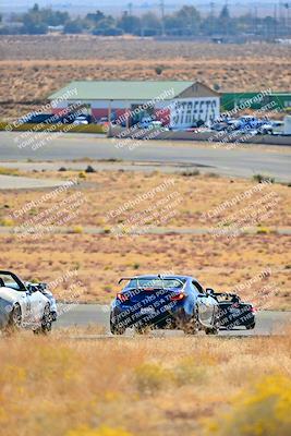 media/Nov-16-2024-Extreme Speed (Sat) [[6587d07cc4]]/Gold Group/Session 1 (Turn 2)/